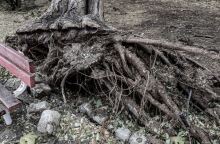 Κακοκαιρία Bora