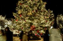 Εορταστικό ωράριο Χριστουγέννων 2024