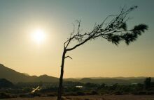 Το 2025 αναμένεται να είναι μια από τις τρεις θερμότερες χρονιές που έχουν καταγραφεί ποτέ