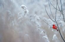 Χειμερινό ηλιοστάσιο 2024: Πότε είναι η μεγαλύτερη νύχτα του χρόνου 