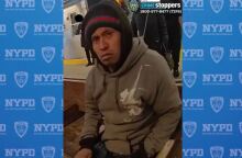 fotia-metro-nea-yorki