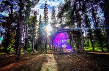 Ο ήλιος πίσω από τα φυλλώματα