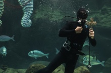 Μοναδικές εικόνες από τα Θεοφάνεια στο ενυδρείο της Κρήτης 