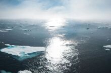 untitled_design_-_2025-01-10t194820_788