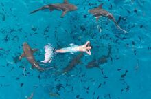 Θεσσαλονίκη: Η πρώτη Ακαδημία Γοργόνων στην Ελλάδα ταξίδεψε στις Μαλδίβες - Κολύμπησε με καρχαρίες και τεράστια σαλάχια