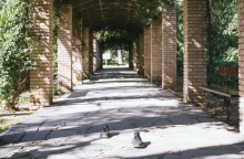 Γιώργος Ζώης: Ο σκηνοθέτης του «Αρκάντια» παρουσιάζει και γράφει στην ATHENS VOICE για το φωτογραφικό project με τα αδέσποτα παπούτσια στην Αθήνα.