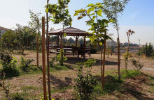 Πώς μπορεί ένα βρώσιμο δάσος να δώσει πνοή στο αστικό περιβάλλον;