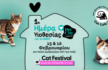 2025_02_10_cat_festival_p1