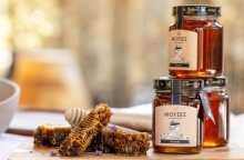 ΜΕΛΙ ΜΟΥΣΕΣ