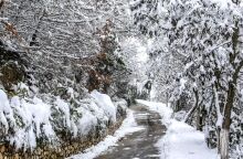 Ο Μαρουσάκης απάντησε για την «πρόγνωση της τσίκνας» και τα σχόλια των μετεωρολόγων για τα χιόνια 