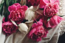 Εορτολόγιο: Σήμερα, 20 Φεβρουαρίου 2025, γιορτάζει…