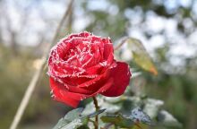 Εορτολόγιο: Σήμερα 21 Φεβρουαρίου 2025 γιορτάζει…