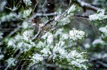 Ο καιρός σήμερα, Σαββατο 22 Φεβρουαρίου: Νέα πτώση της θερμοκρασίας - Πιθανότητα χιονοπτώσεων - Αναλυτική πρόγνωση από το meteo και την ΕΜΥ