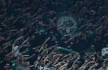 Φίλοι του Παναθηναϊκού