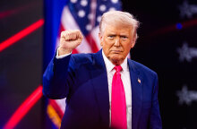 Τι μπορούμε να κάνουμε; Το δέντρο της δημοκρατίας