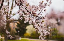 Εορτολόγιο