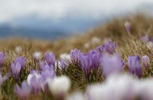 Εορτολόγιο: Σήμερα 3 Μαρτίου 2025, γιορτάζει…