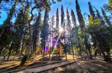 Καιρός: «Μυρίζει» Άνοιξη το Σάββατο