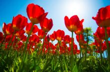 Εορτολόγιο: Σήμερα 14 Μαρτίου 2025  γιορτάζει…