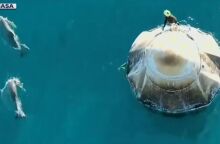 Κοπάδι δελφινιών υποδέχτηκε τους αστροναύτες της NASA, κατά την προσθαλάσσωση της κάψουλας της SpaceX - Αναδύθηκαν μέσα από τα νερά