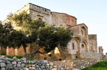 Πελοπόννησος: Ένταξη 3 μνημειακών δέντρων στο Δίκτυο Αιωνόβιων Δέντρων Ελληνικής Επανάστασης - Η σημαντική ιστορία τους