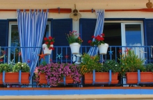 8 δημοφιλή φυτά για να βάλετε την Άνοιξη στο μπαλκόνι σας	