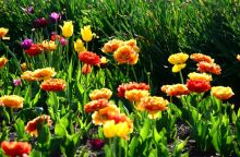 Εορτολόγιο