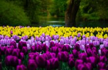 Εορτολόγιο: Σήμερα 24 Μαρτίου 2025 γιορτάζει