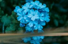 Εορτολόγιο: Σήμερα 25 Μαρτίου 2025 γιορτάζει…