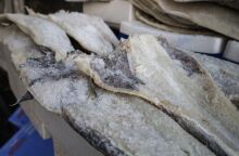 25η Μαρτίου: Αλμυρός και στην τιμή του ο μπακαλιάρος