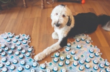 Μήπως ο σκύλος σου έχει κάτι να σου πει;  