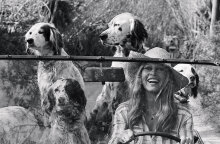 Chic Dogs: Μια φωτογραφική ιστορία με σκυλιά σαλονιού