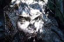 The Garden of Pythia του Charles Sandison: Μια νέα site-specific ανάθεση του PCAI στους Δελφούς