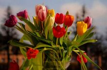 Εορτολόγιο: Σήμερα 5 Απριλίου 2025 γιορτάζει...