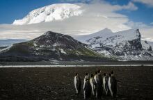 Δασμοί Τραμπ: Τα νησιά Χερντ και ΜακΝτόναλντ στον εμπορικό πόλεμο του προέδρου των ΗΠΑ - Πώς στοχοποιήθηκαν - Η αντίδραση της Αυστραλίας