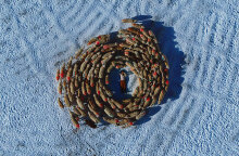 «Magnificent» του Jody Xiong: Μια ελεγεία στην ψυχή της αρχαίας Yutian