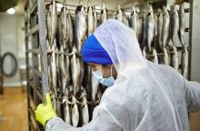 Υπεραλίευση: Το σκουμπρί στον ΒΑ Ατλαντικό εξαντλείται - Σταθερή μείωση των πληθυσμών - Ειδικοί προτείνουν βιώσιμες επιλογές κατανάλωσης.