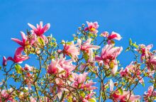 Εορτολόγιο