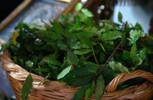 Κυριακή των Βαΐων: Τι γιορτάζουμε σήμερα και γιατί τρώμε ψάρι