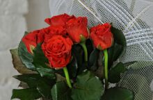 Εορτολόγιο: Σήμερα 20 Απριλίου 2025 γιορτάζει…