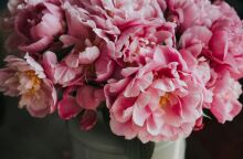 Εορτολόγιο: Σήμερα 10 Μαΐου 2025 γιορτάζει…