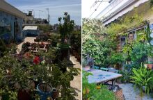 Δήμος Αθηναίων - Οργάνωση Γη: Ψήφισε τα πιο πράσινα μπαλκόνια της Αθήνας - Χ. Δούκας: «Από έναν μικρό χώρο, μπορούμε να κάνουμε μία πολύ μεγάλη αλλαγή»