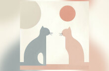 Γάτες: Ένα μεγάλο αφιέρωμα