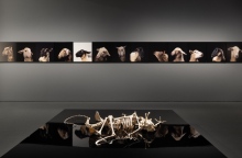 Why Look at Animals?: Μια μέρα πριν τα εγκαίνια, ξεναγηθήκαμε στην μεγαλύτερη έκθεση στην ιστορία του ΕΜΣΤ