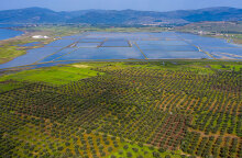 Τι είναι αυτό που κάνει την Λέσβο τόσο ξεχωριστή όσον αφορά τη βιοποικιλότητα της;