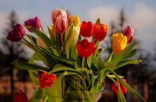 Εορτολόγιο: Σήμερα 26 Μαΐου 2025 γιορτάζει…