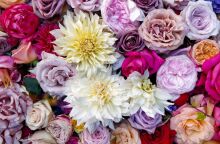 Εορτολόγιο: Σήμερα 29 Μαΐου 2025 γιορτάζει…