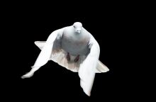 Πώς αμείβονται όσοι εργαστούν του Αγίου Πνεύματος