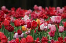 Εορτολόγιο: Σήμερα 30 Μαΐου 2025 γιορτάζει…