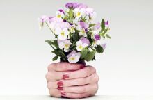 Ποιοι γιορτάζουν σήμερα 9 Ιουνίου 2025; Το εορτολόγιο της Athens Voice σου τους θυμίζει. Μην ξεχάσεις να τους δώσεις τις καλύτερες ευχές σου!